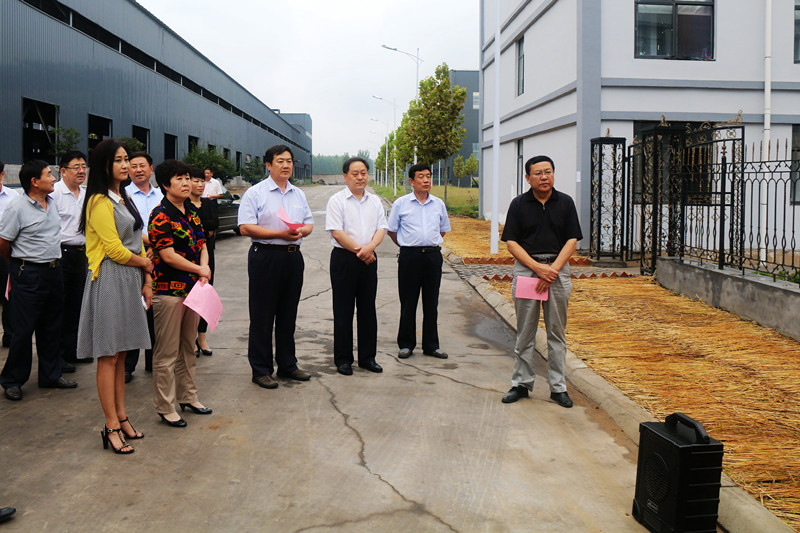 图1为蒙阴县人大常委会党组书记、第一副主任王士新（右一）带领视察组在孟良崮工业园区实地察看_副本.jpg